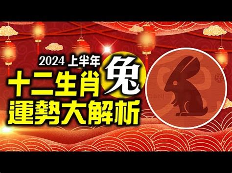 2024 兔 運勢